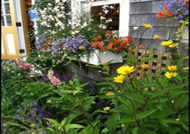Container Gardening for Practically Green