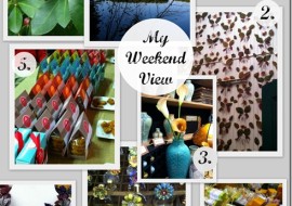 5 Reasons to Love My Weekend View
