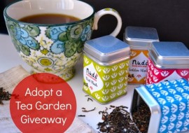 Nudo Has the Perfect Gift for A Tea Lover