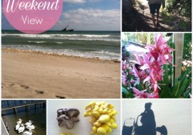 5 Reasons to Love My Weekend View No.35