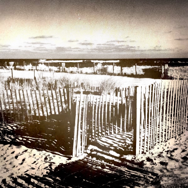 fire island new york black and white photo of beach