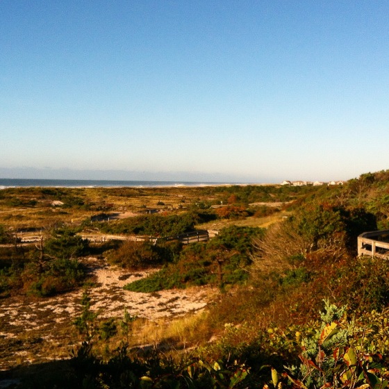 sunken forest fire island new york