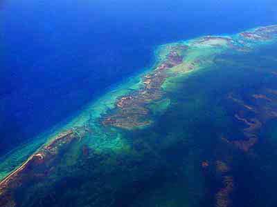 cuba's coral reefs