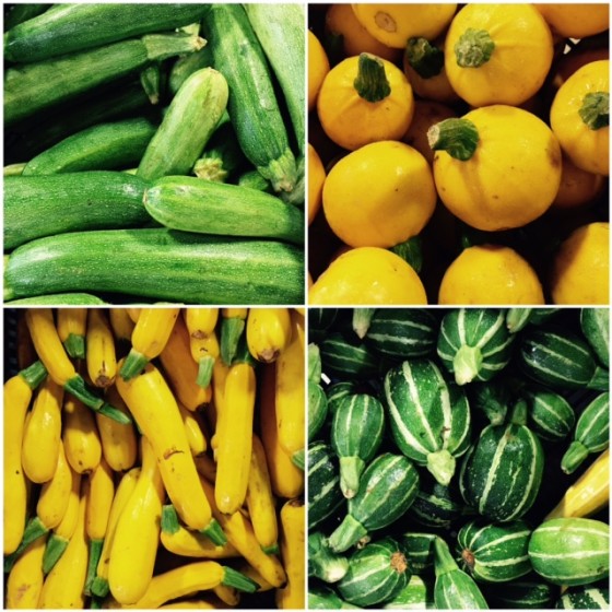 summer squash and zucchini varieties