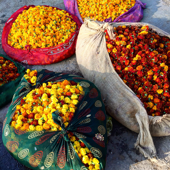 Flower market in Jaipur