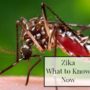 The zika environment now