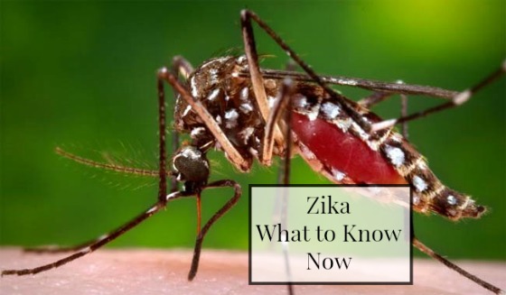 The zika environment now