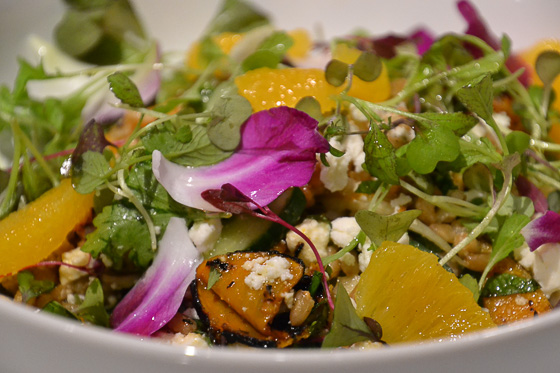 Squash and farro salad