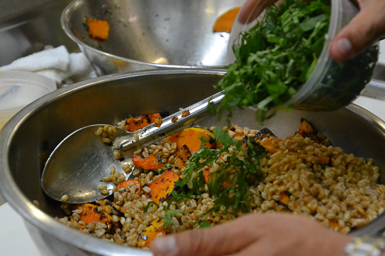 Mixing of ingredients for squash and farro salad