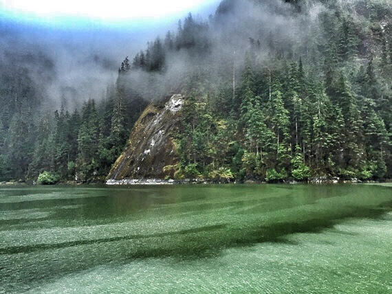 Responsible Travel Alaska's Inside Passage aboard MV Westward