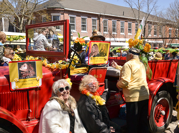 Taking a breather Nantucket Daffodil Festival