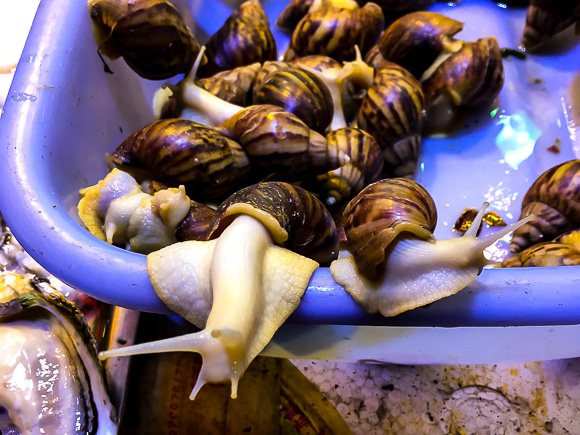 Snails to go in China