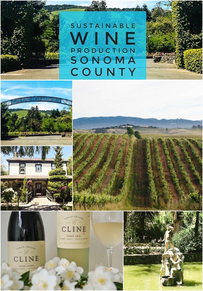 Sustainable wine production in California