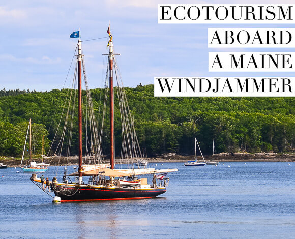 Schooner J. & E. Riggin Day Cruises - All You Need to Know BEFORE You Go  (with Photos)