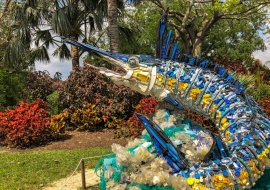 Plastic Pollution: Washed Ashore Oceans