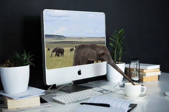 elephant coming out of computer