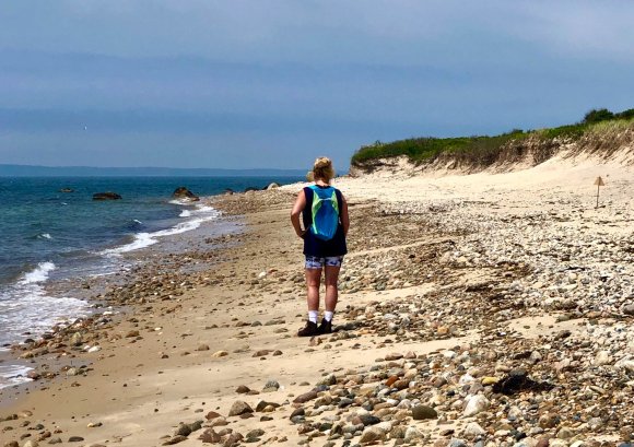 Beach at Cedar Tree Neck Sanctuary