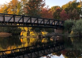 Best Walks and Hikes in Boston and Nearby Area