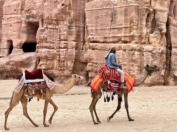 camels and rider inside Petra Jordan