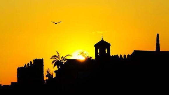 sunset and bird flying over palace walls Cordoba, Spain