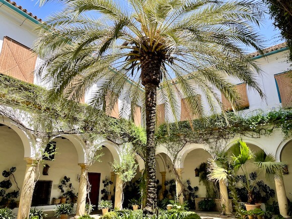 large palm tree in center courtyard