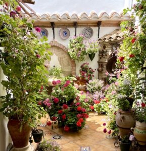 25 Fabulous Things To Do in Cordoba Spain - Green With Renvy