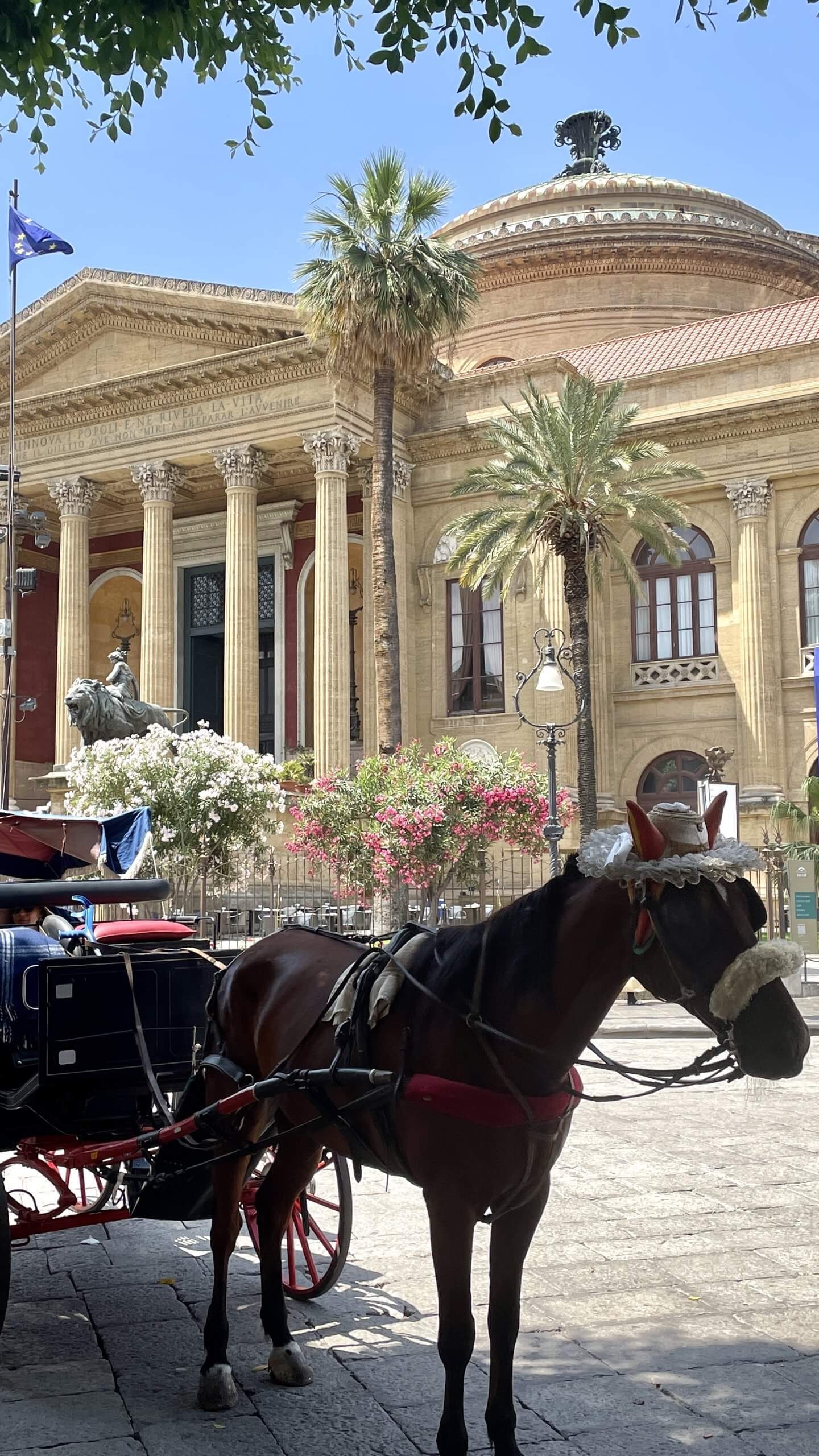 Horse carriage in front of Teatro Massimo with palms and flowers 