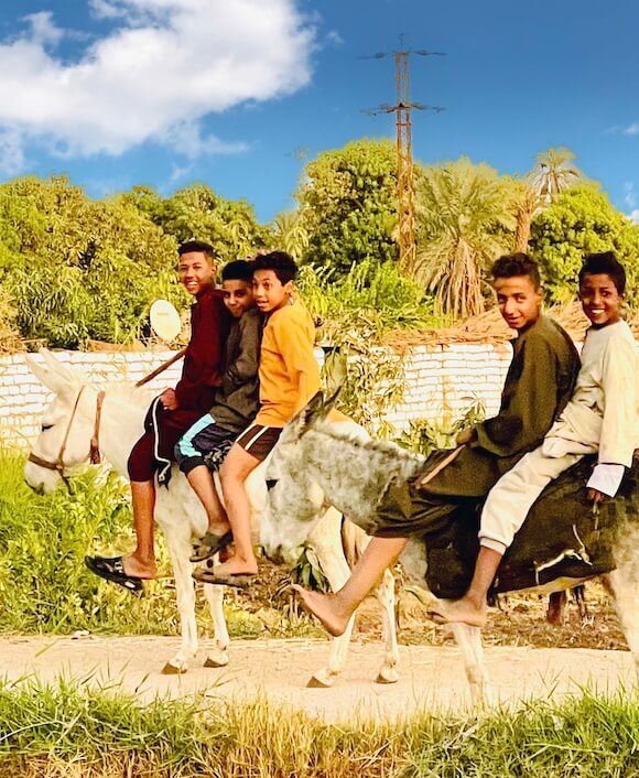 Five young boys on two donkeys along the road.